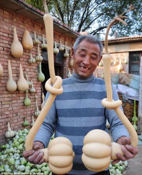 Trung Quốc: Lão nông trồng được... bí ngô thiên nga