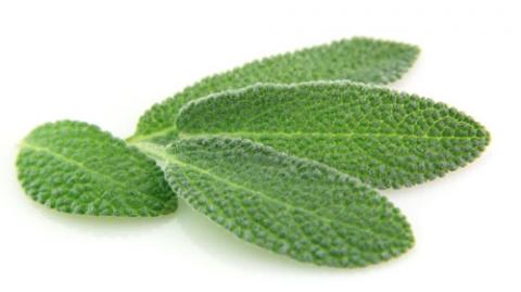 Thực phẩm nào giúp giảm đau cổ họng tốt?