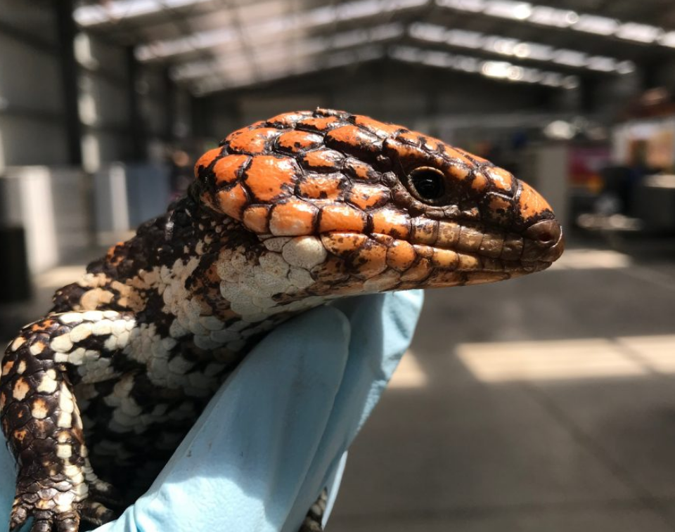 Chương trình Thời sự thứ Tư, 30/10/2019