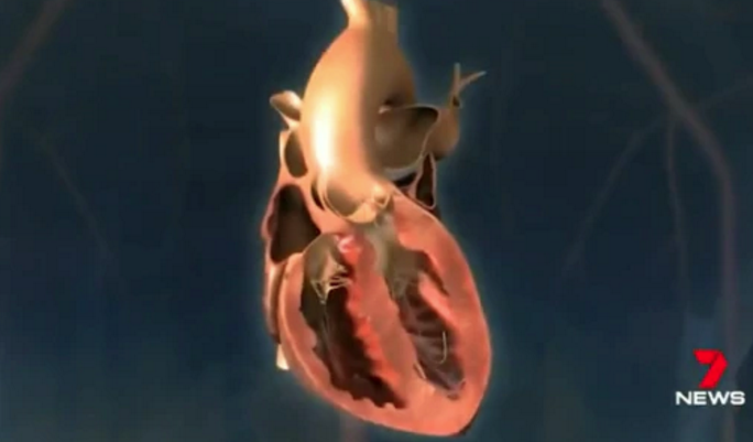 Chương trình Thời sự thứ Tư, 06/11/2019