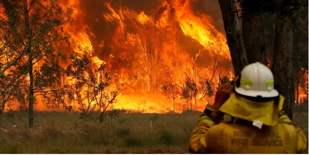 Chương trình Thời sự thứ Ba, 12/11/2019