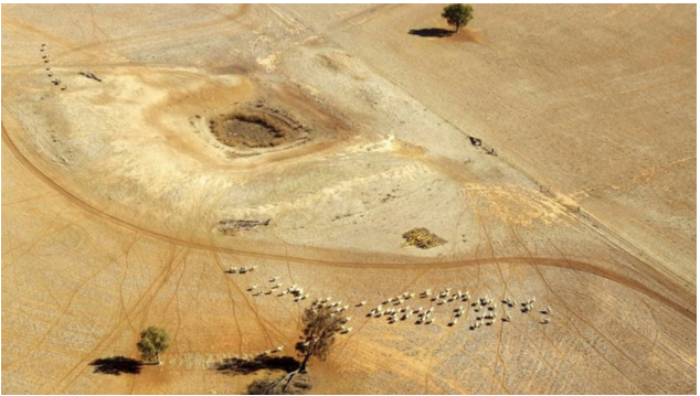 Chương trình Thời sự thứ Năm, 19/12/2019