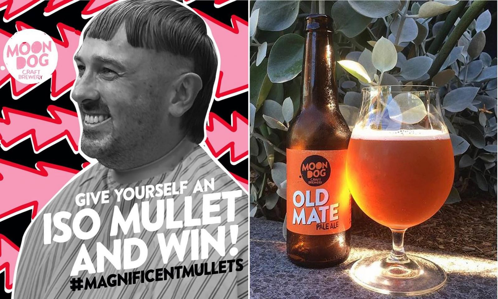 Chương trình Tin tức thứ Năm, 23/04/2020