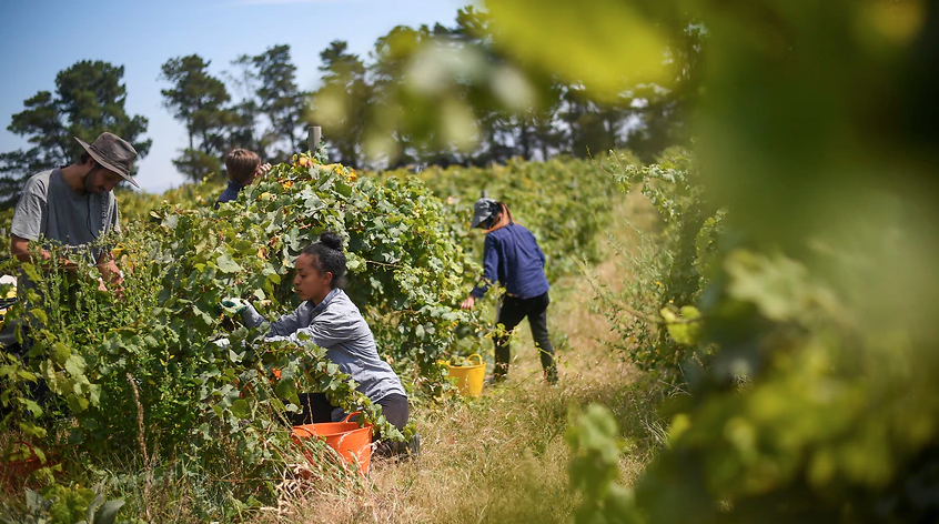 Chương trình Tin tức thứ Năm, 30/04/2020