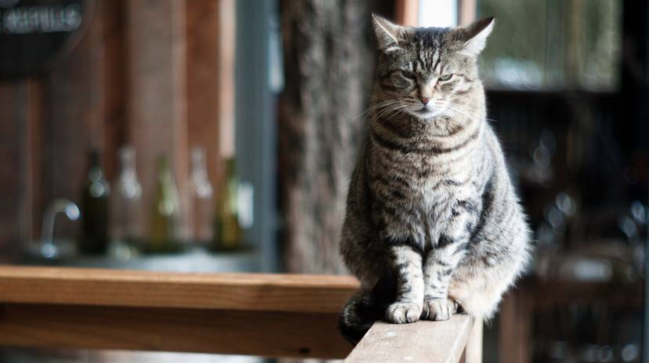 Chương trình Thời sự thứ Ba, 30/06/2020