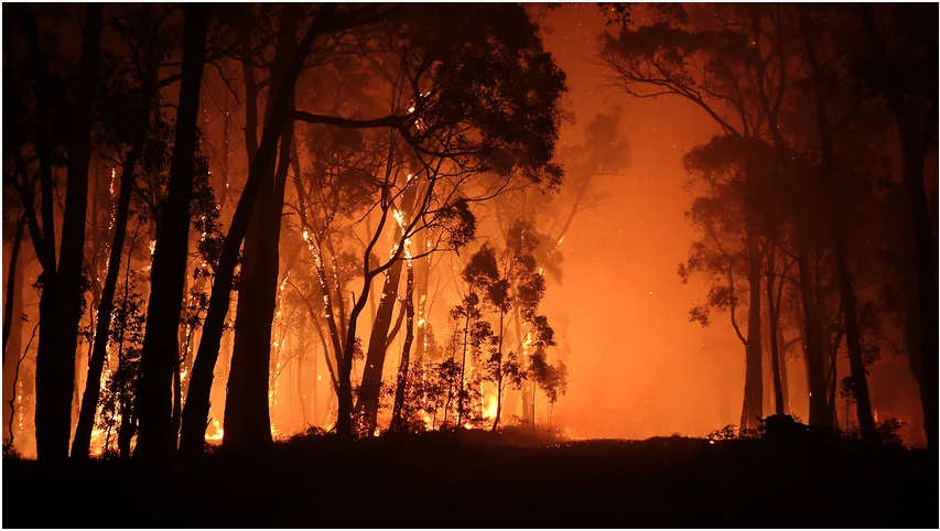 Chương trình Tin tức thứ Tư, 26/08/2020
