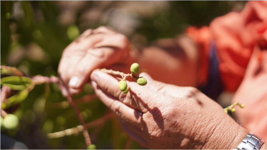 Chương trình Tin tức thứ Hai, 07/09/2020