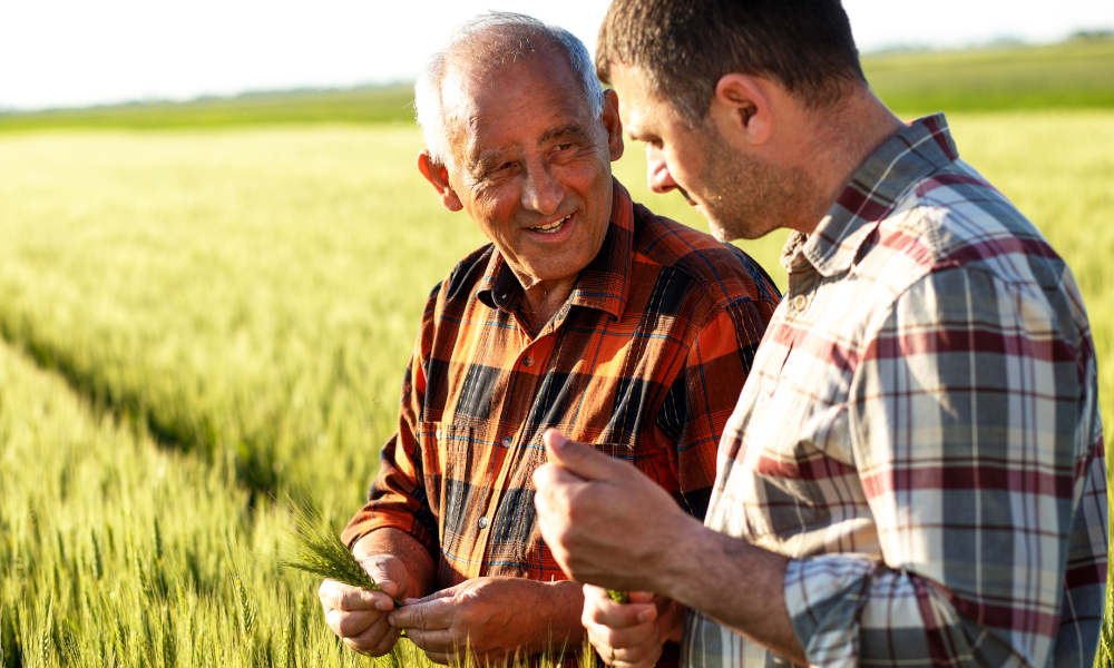 Chương trình Tin tức thứ Tư, 21/10/2020