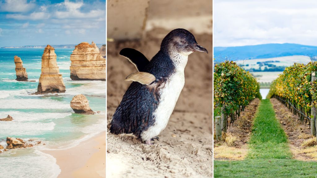 Chương trình Tin tức thứ Sáu, 11/12/2020