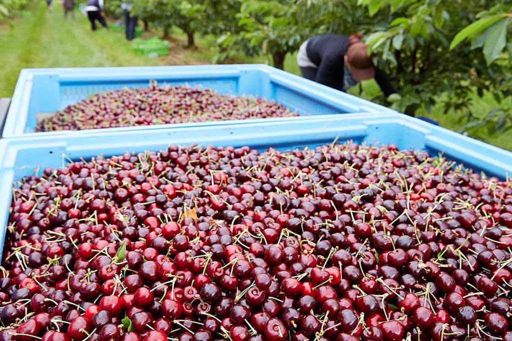 Chương trình Tin tức thứ Tư, 02/12/2020