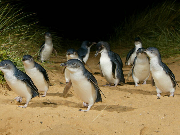 Chương trình Tin tức thứ Năm, 25/02/2021