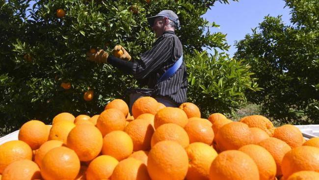 Chương trình Tin tức thứ Tư, 28/07/2021