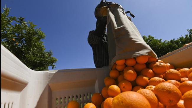 Chương trình Tin tức thứ Sáu, 05/11/2021