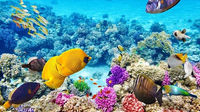 Chương trình Tin tức thứ Tư, 16/02/2022