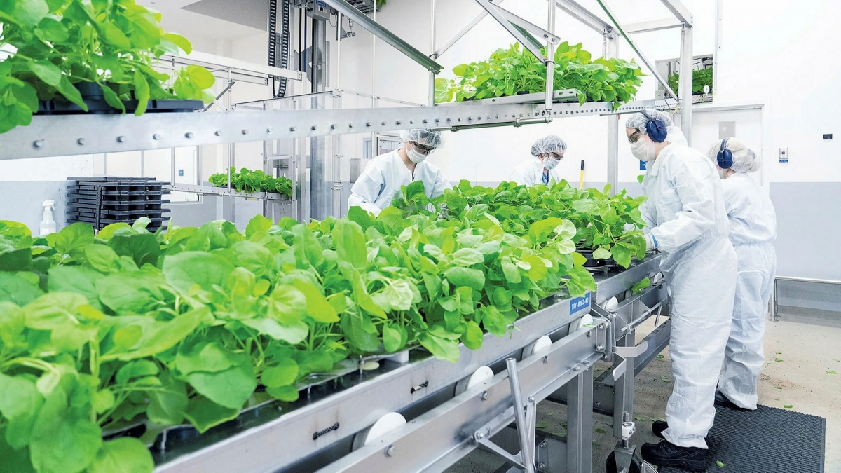 Chương trình Tin tức thứ Năm, 12/05/2022