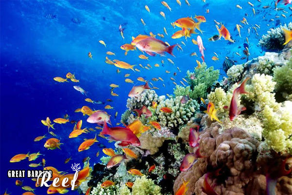 Chương trình Tin tức thứ Ba, 31/05/2022