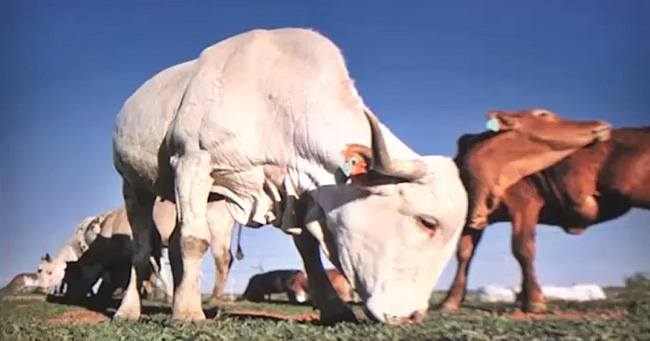 Chương trình Tin tức thứ Năm, 21/07/2022