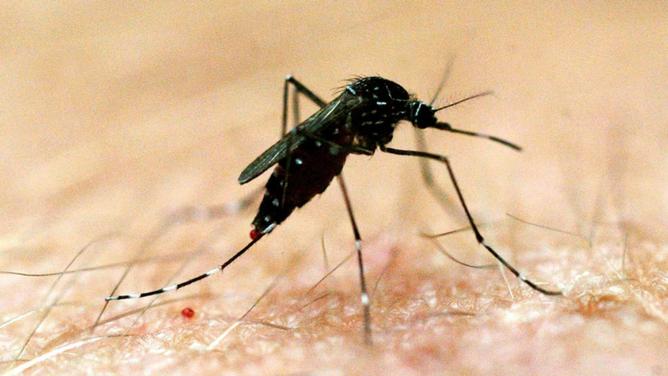 Chương trình Tin tức thứ Năm, 11/08/2022