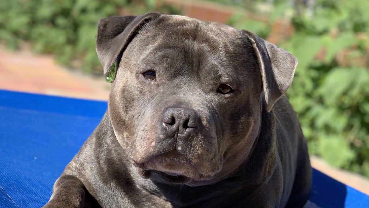 Chương trình Tin tức thứ Sáu, 26/08/2022