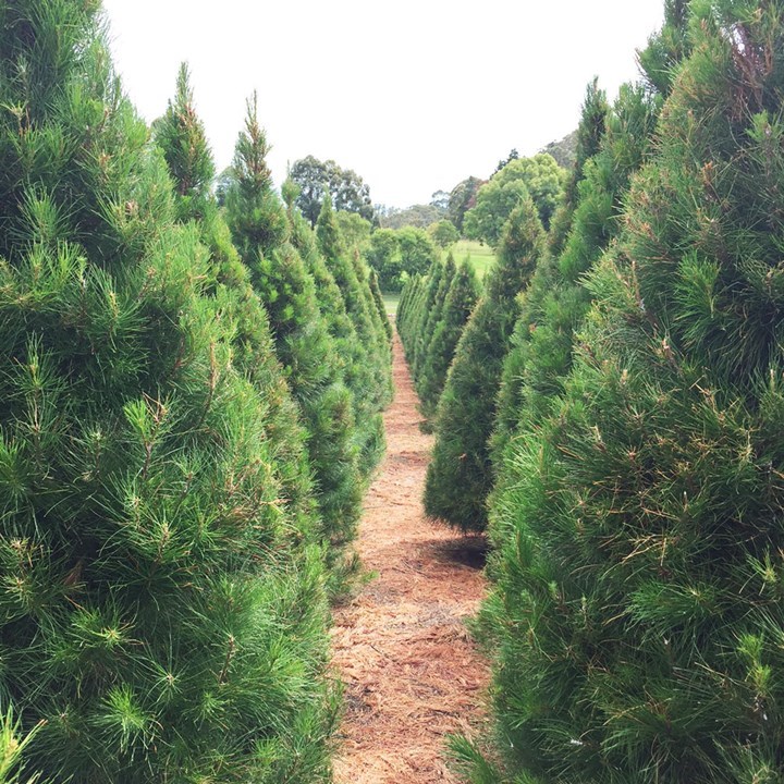 Chương trình Tin tức thứ Hai, 12/12/2022