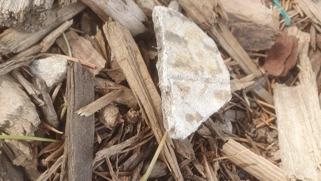 Chương trình Tin tức thứ Năm, 11/04/2024