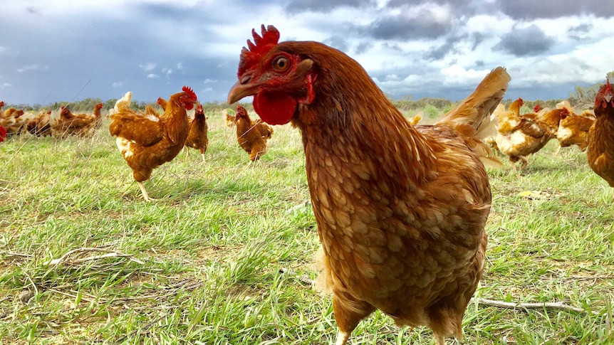 Chương trình Tin tức thứ Ba, 28/05/2024